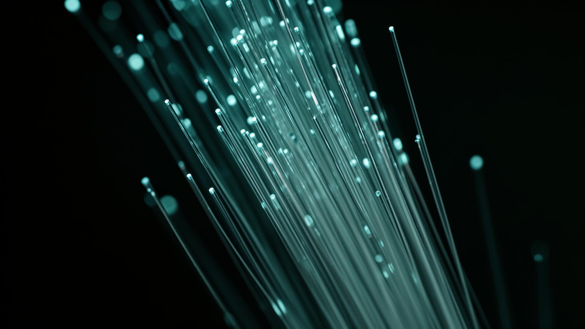 Macro photograph of fiber-optic strands
